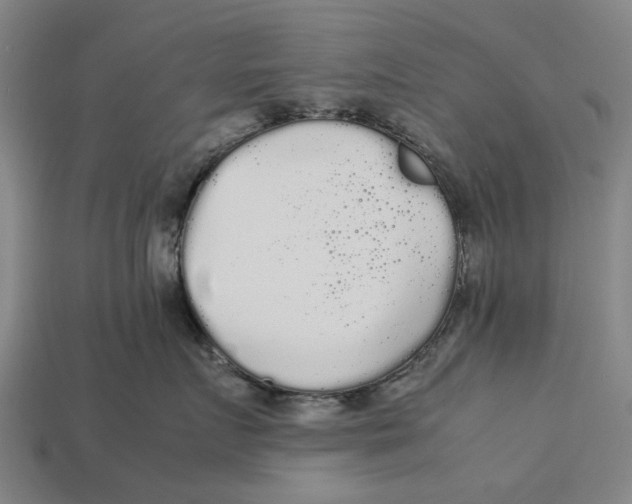 X0000113070719200909250929