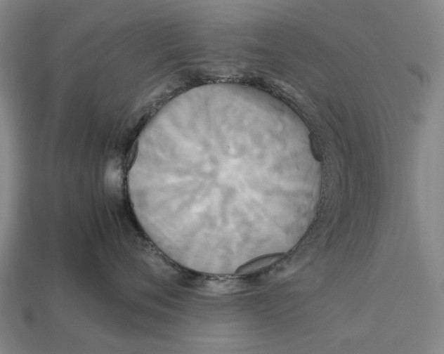 X0000113070720200909250929