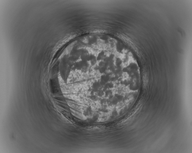 X0000113070721200909250928