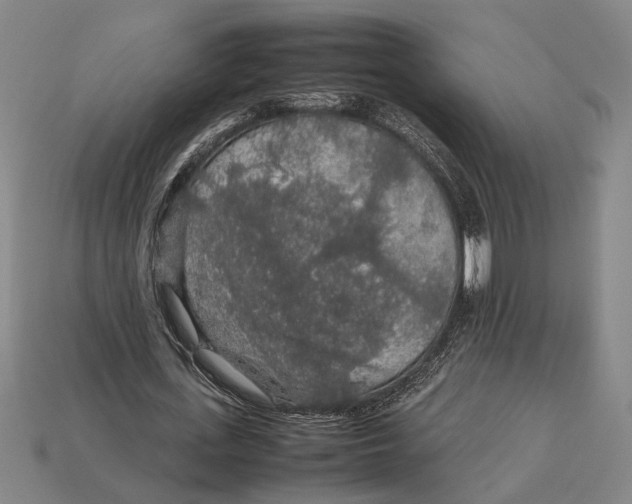 X0000113070723200909250928