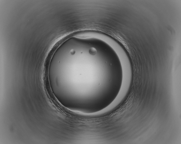 X0000113070724200909250928