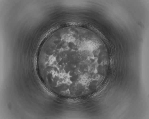 X0000113070725200909250928