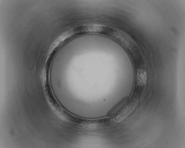 X0000113070726200909250928