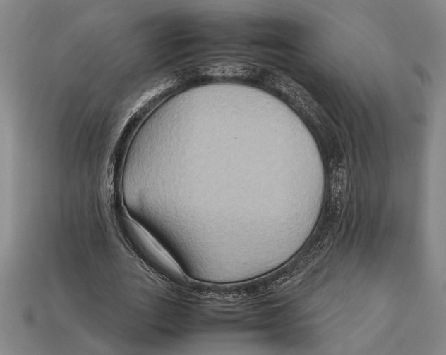 X0000113070727200909250928