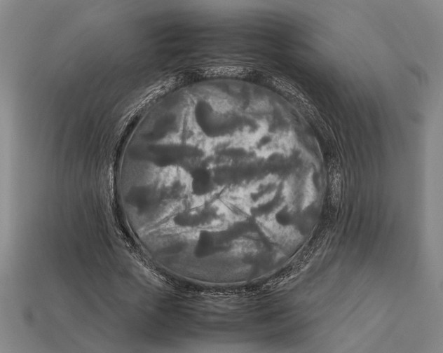 X0000113070729200909250928