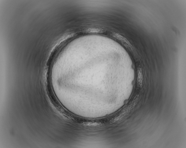 X0000113070730200909250928