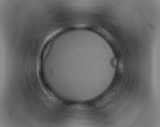 X0000113070732200909250928