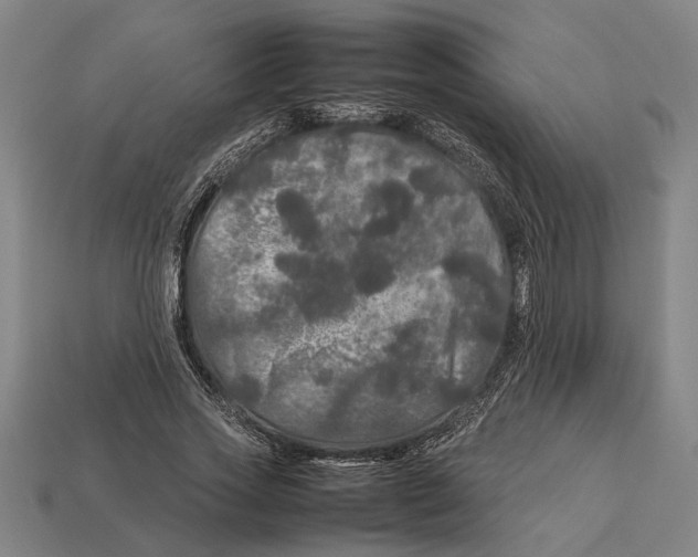 X0000113070733200909250928