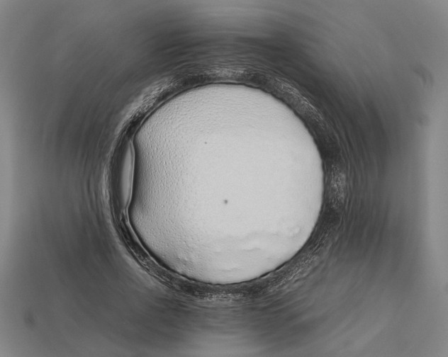 X0000113070734200909250928