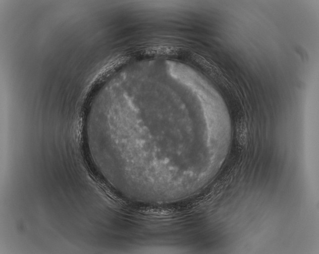 X0000113070735200909250928