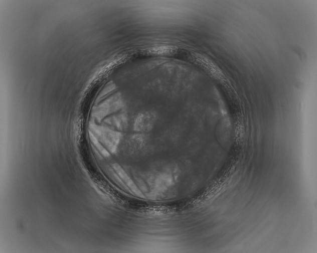 X0000113070736200909250928