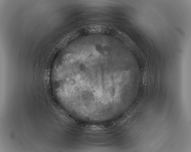 X0000113070737200909250928