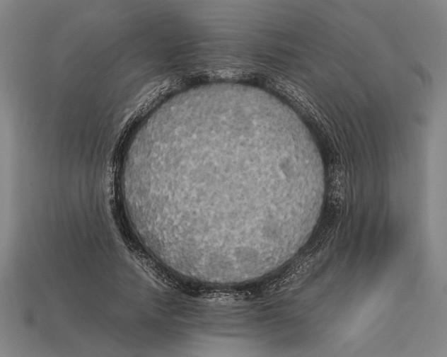X0000113070738200909250928