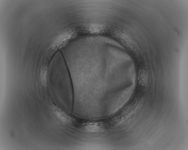 X0000113070740200909250928