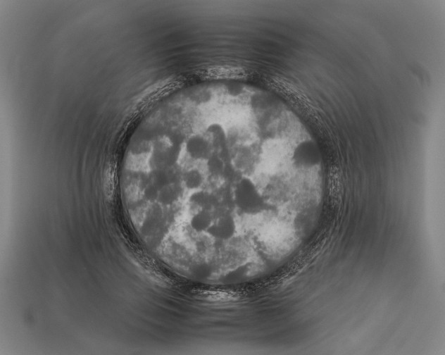 X0000113070741200909250928