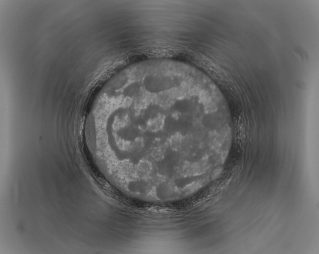 X0000113070742200909250928