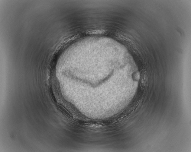 X0000113070743200909250928