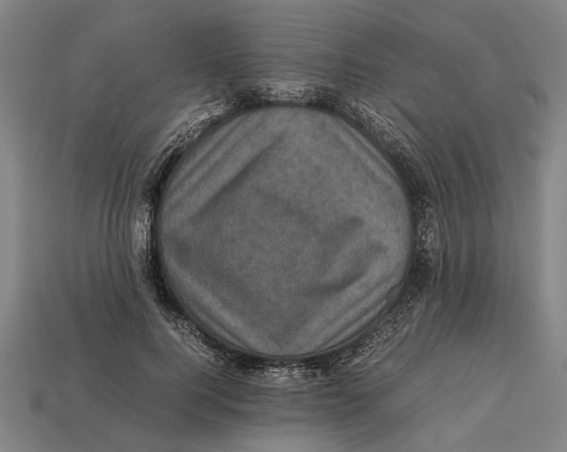 X0000113070744200909250928