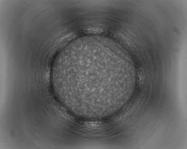 X0000113070745200909250928