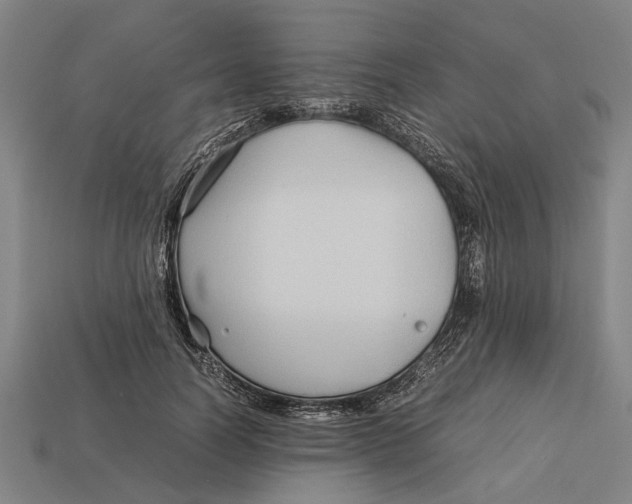 X0000113070746200909250928