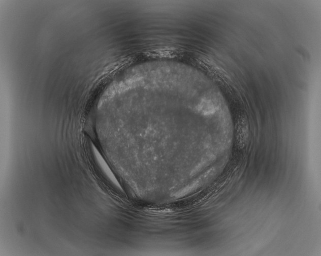 X0000113070747200909250929