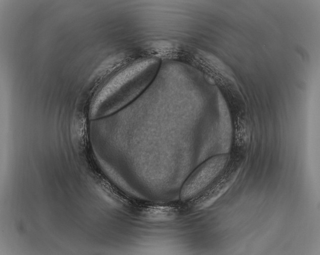 X0000113070748200909250929