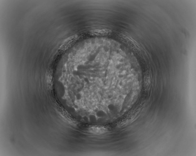 X0000113070749200909250929