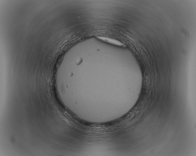 X0000113070750200909250929