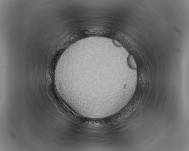 X0000113070751200909250929