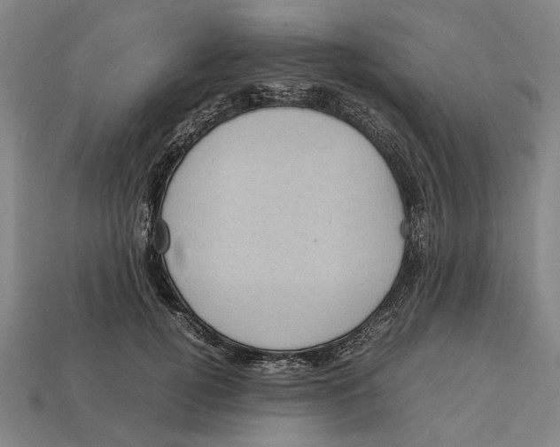 X0000113070752200909250929