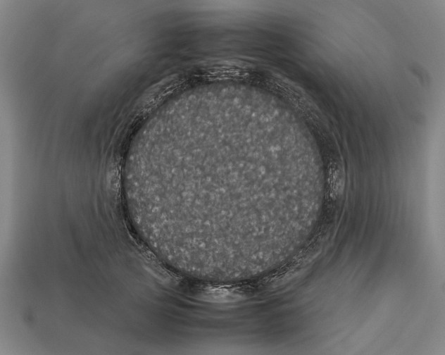 X0000113070753200909250929