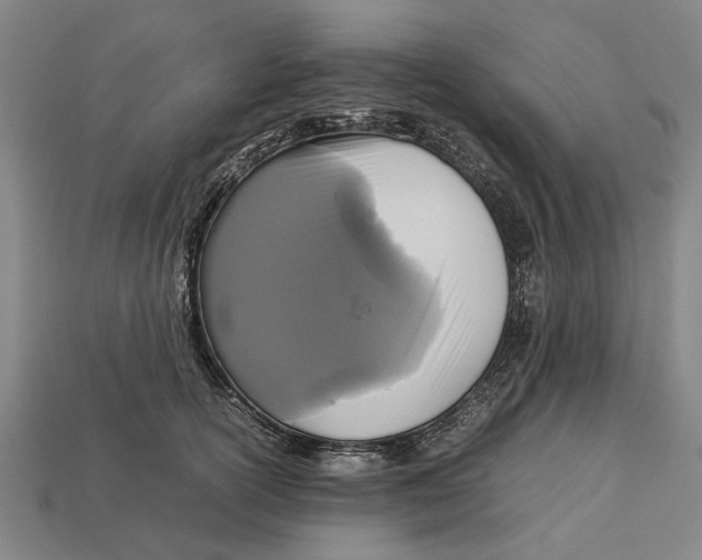 X0000113070754200909250929