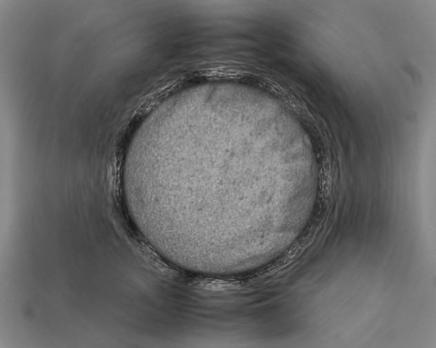X0000113070755200909250929