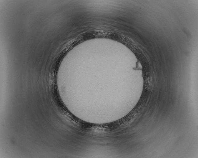 X0000113070756200909250929