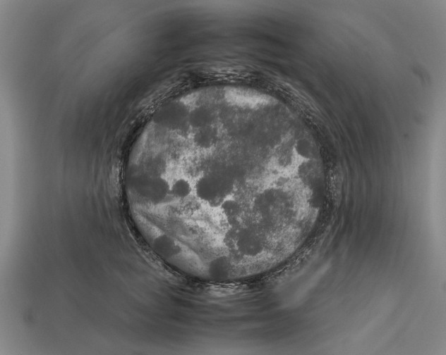X0000113070757200909250929