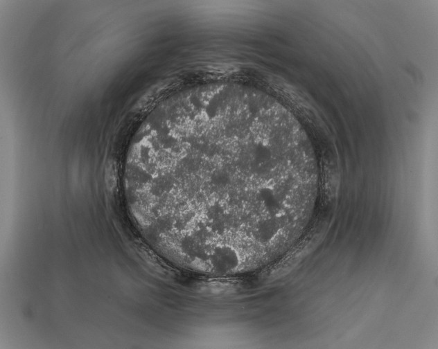 X0000113070758200909250929