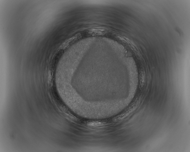 X0000113070759200909250929