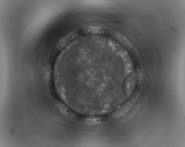 X0000113070760200909250929