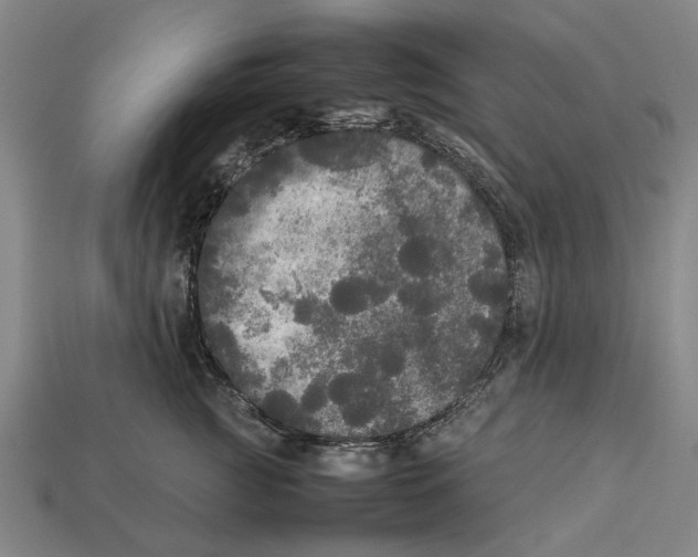 X0000113070761200909250929