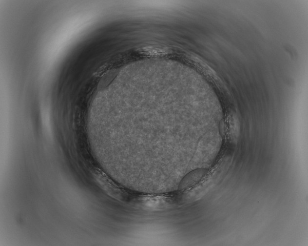 X0000113070762200909250929