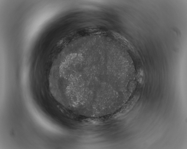 X0000113070763200909250929