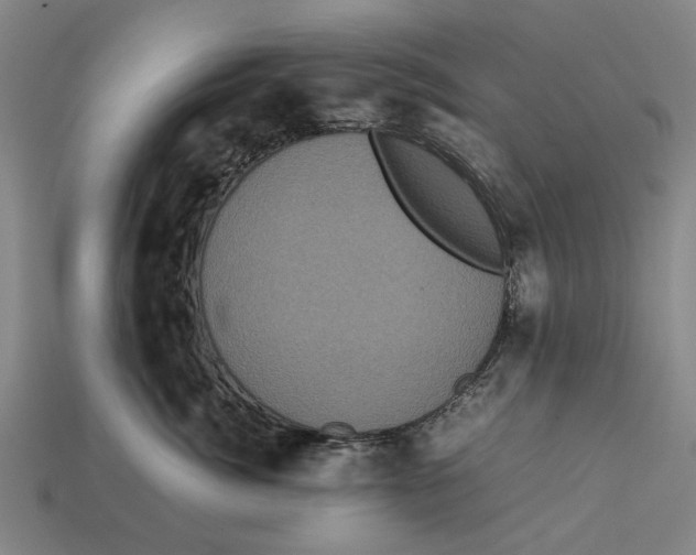 X0000113070764200909250929