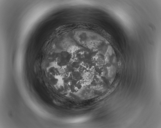 X0000113070765200909250929