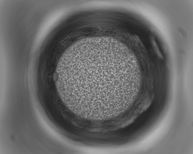 X0000113070766200909250929