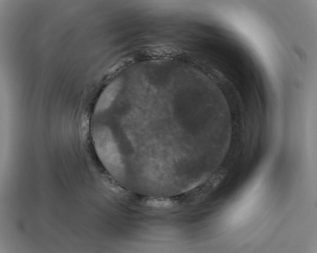 X0000113070767200909250929