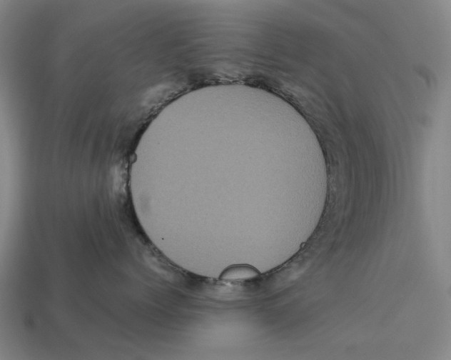 X0000113070768200909250929