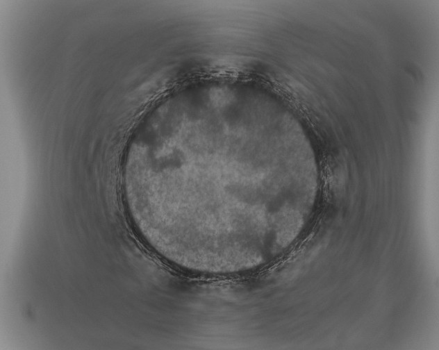 X0000113070769200909250928