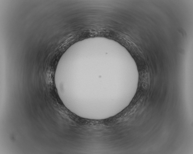 X0000113070770200909250928