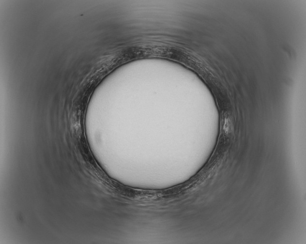 X0000113070771200909250928