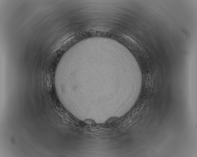 X0000113070774200909250928